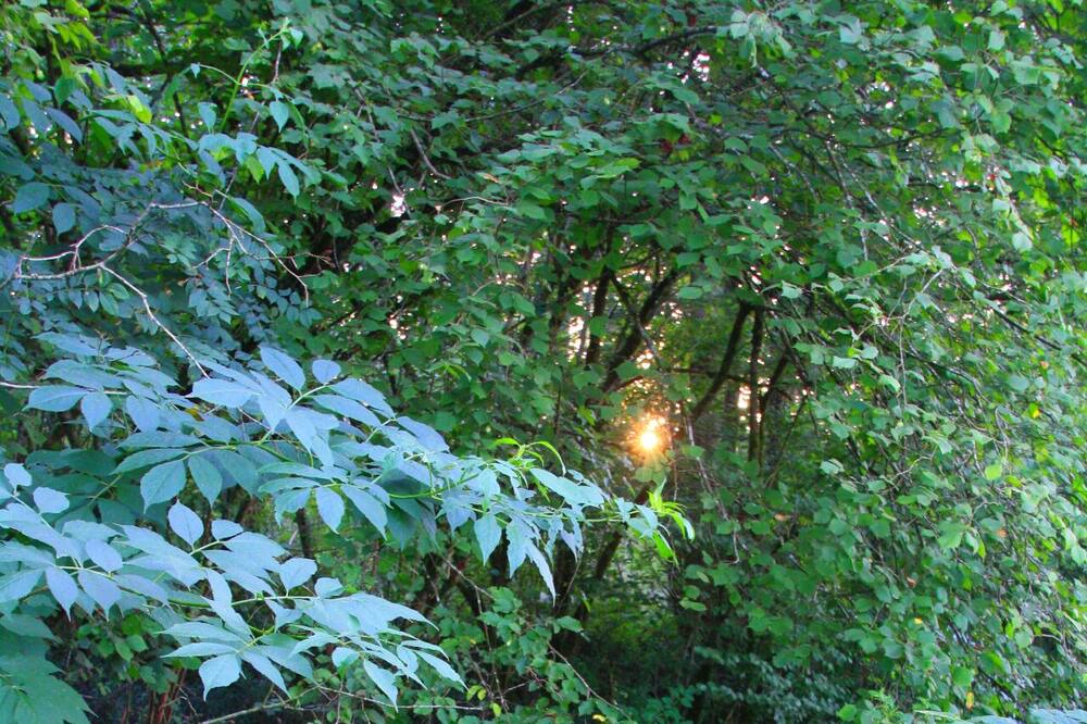 Photo of Outdoor in Bonnut
