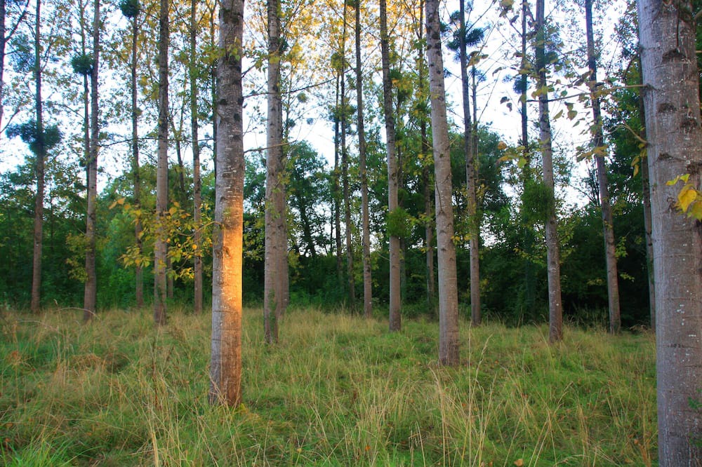 Photo of Outdoor in Bonnut