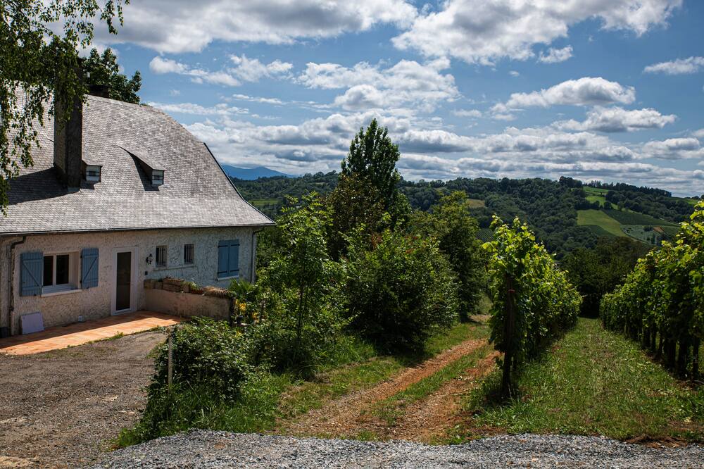 Photo of Outdoor in Jurancon