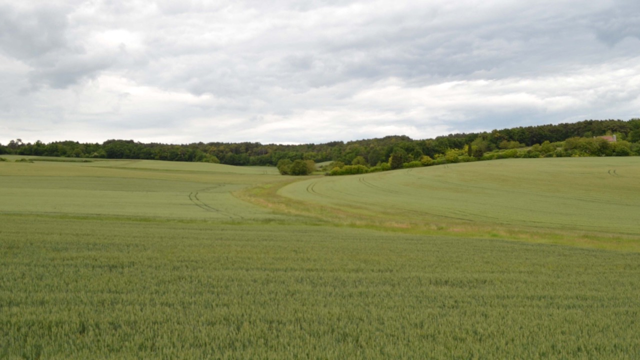 Photo of Others in Scorbe-Clairvaux