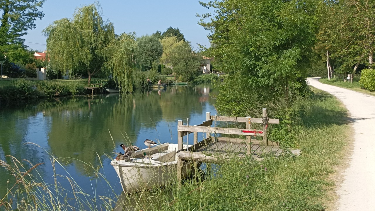 Photo of Others in Magne
