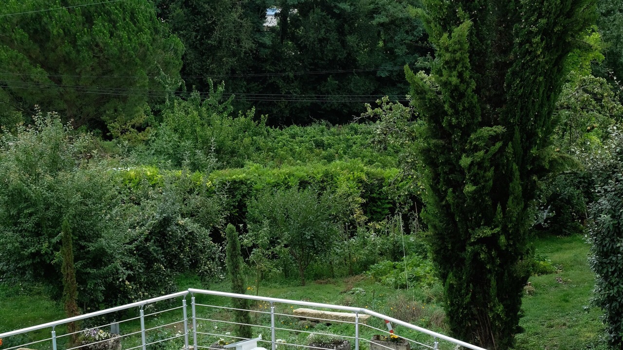 Photo of Others in Bourg-sur-Gironde