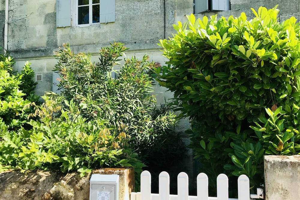Photo of Outdoor in Saint-Emilion