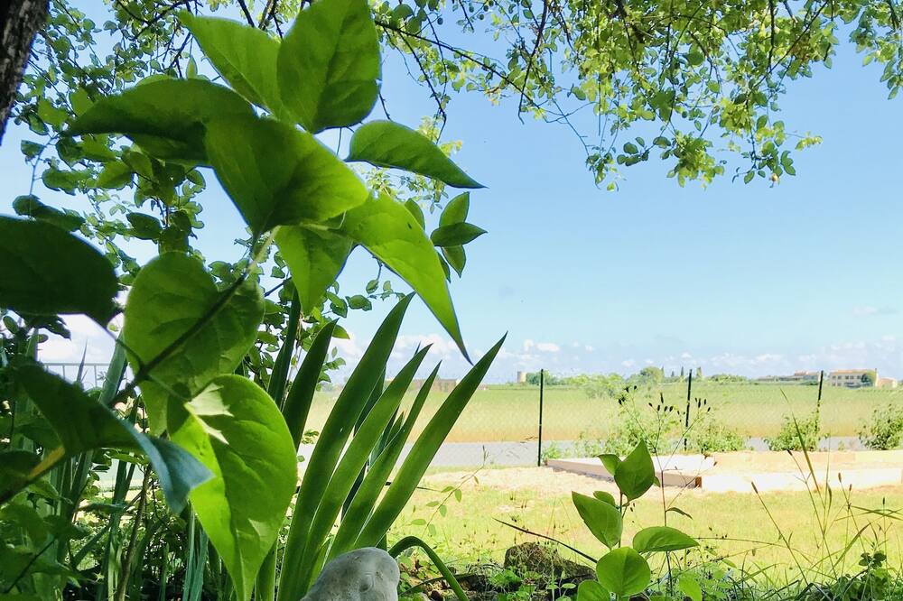 Photo of Outdoor in Saint-Emilion