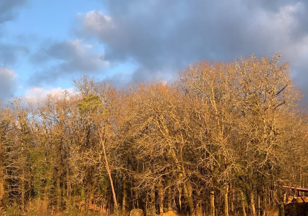 Photo of Outdoor in Mauzac-et-Grand-Castang