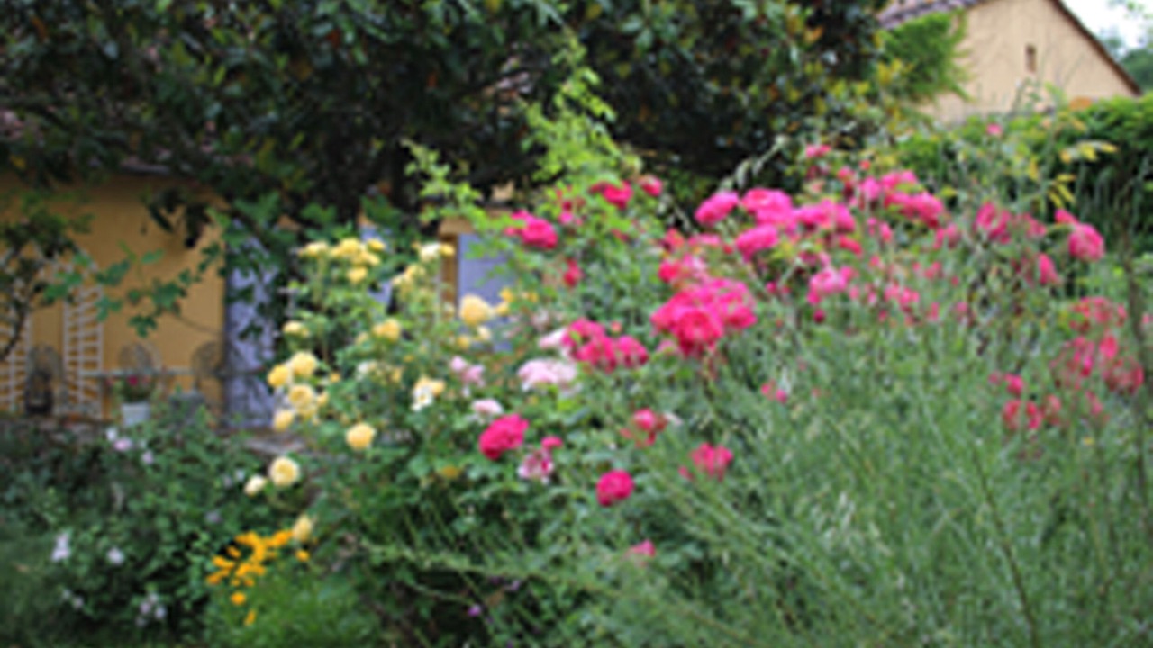 Photo of Outdoor in Mauzac-et-Grand-Castang