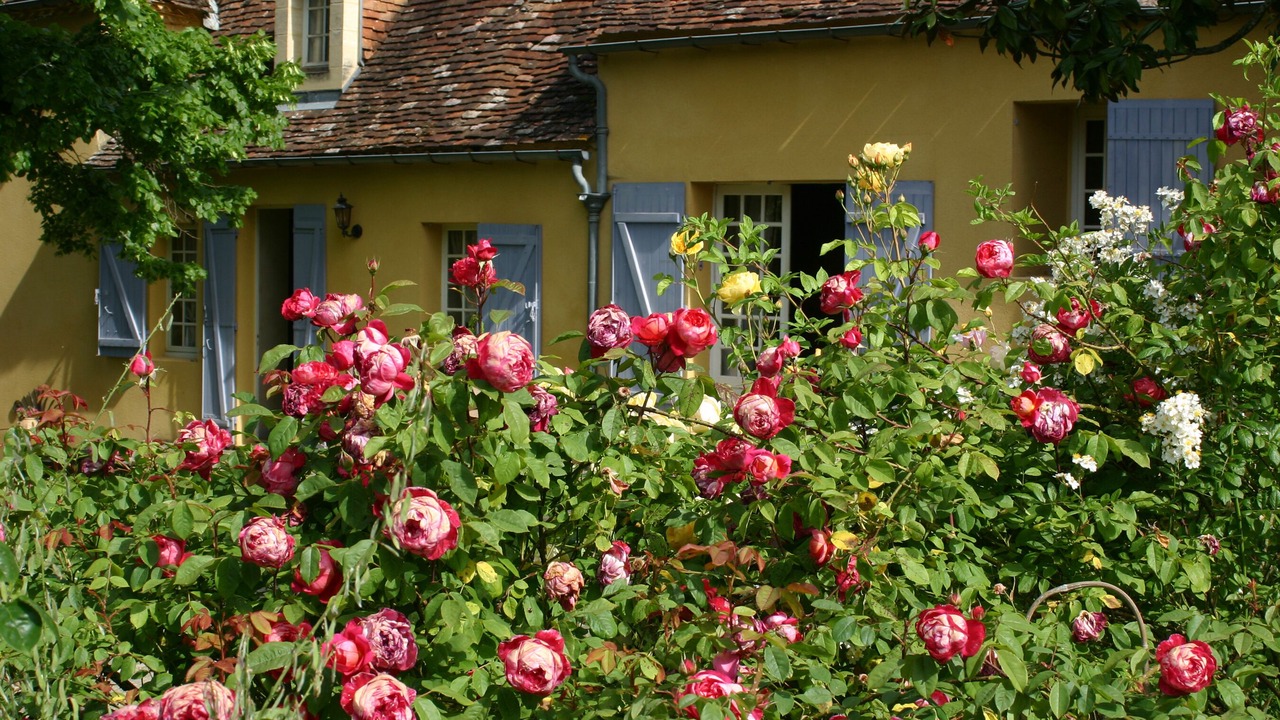 Photo of Outdoor in Mauzac-et-Grand-Castang
