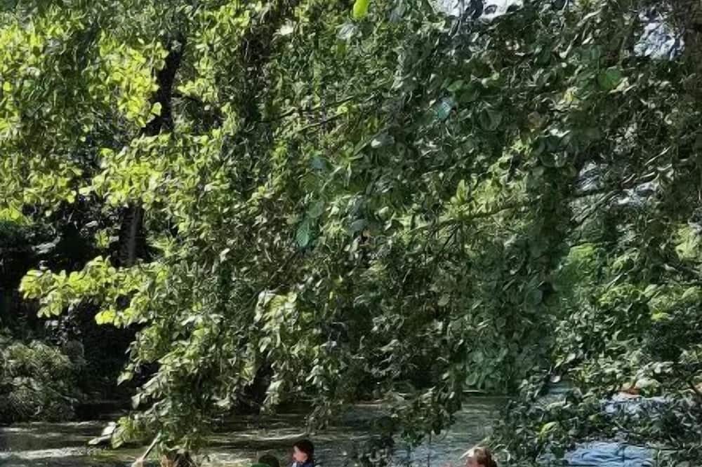 Photo of Outdoor in Cubjac