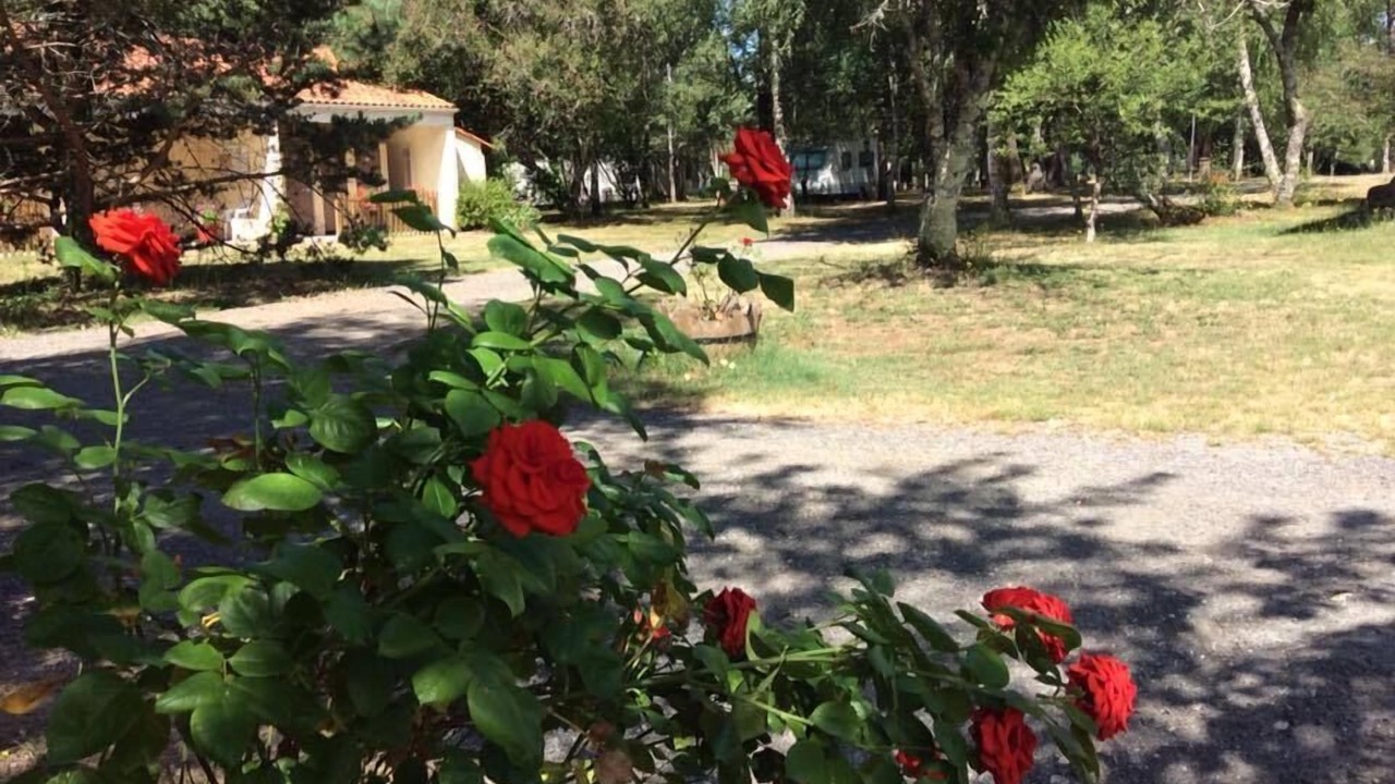 Photo of Outdoor in Bayas