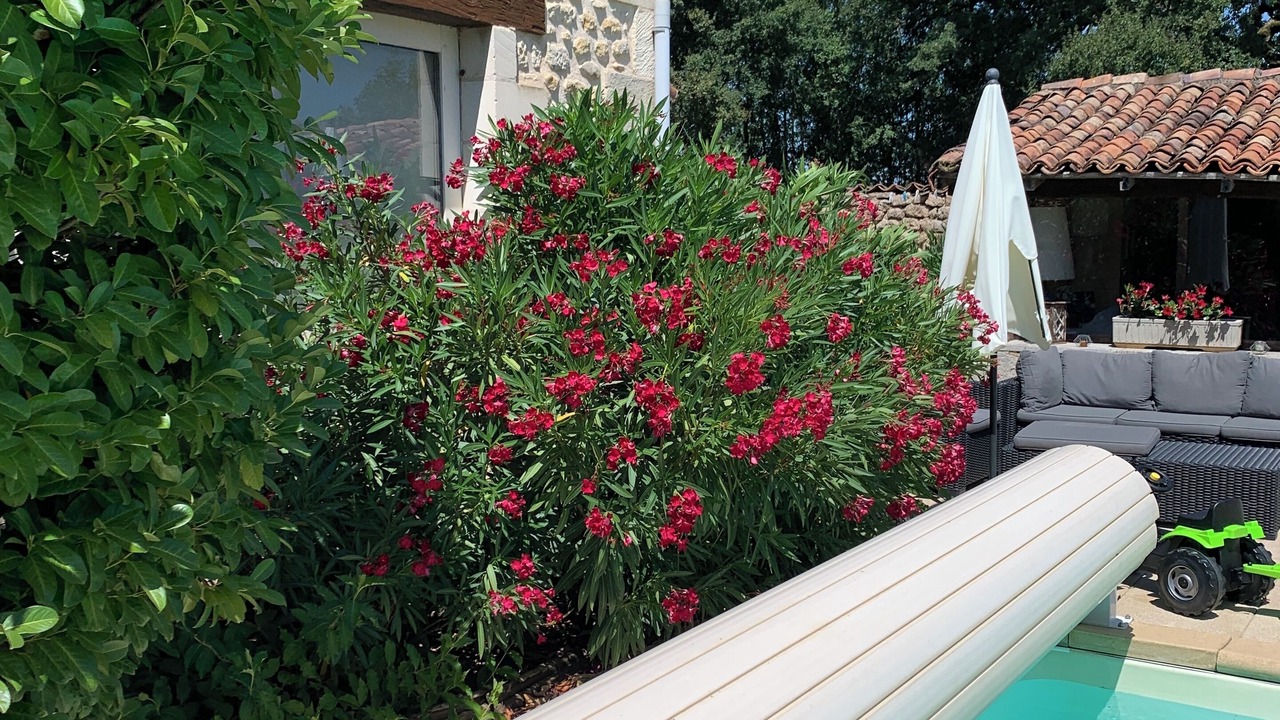 Photo of Outdoor in Savigny-Levescault