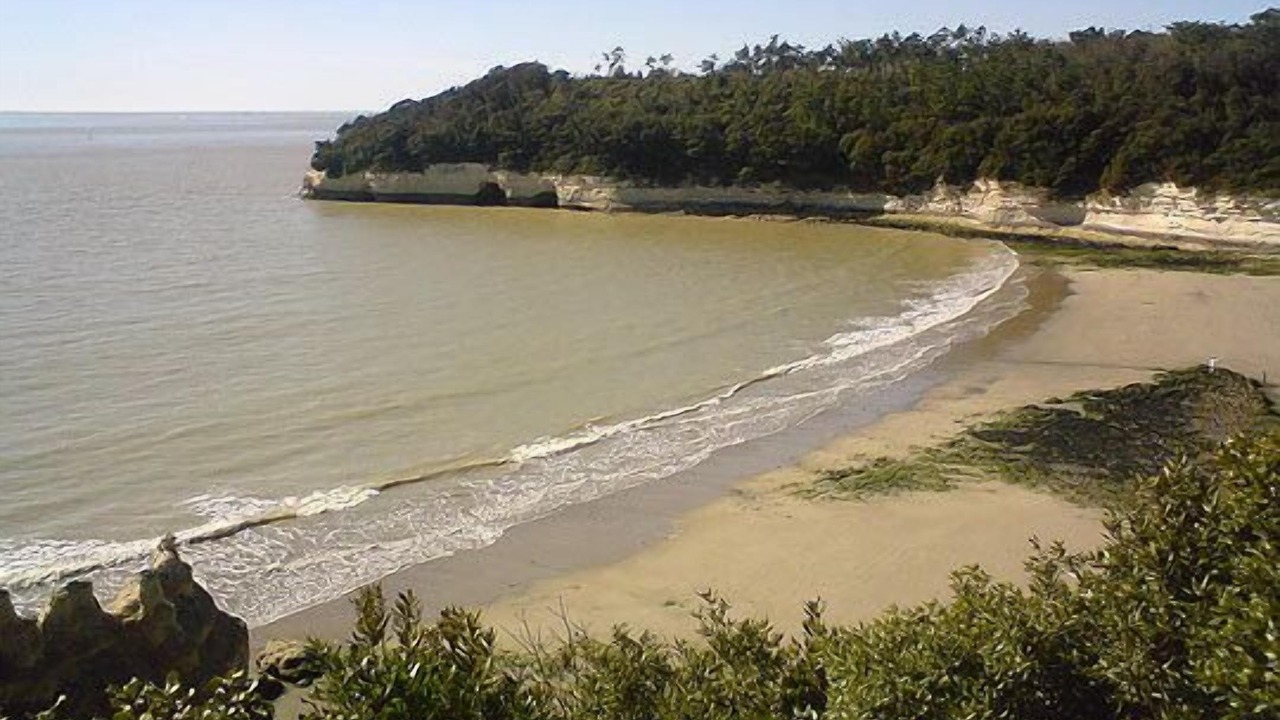 Photo of Others in Meschers-sur-Gironde