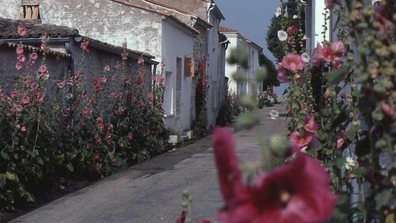 Photo of Outdoor in Meschers-sur-Gironde