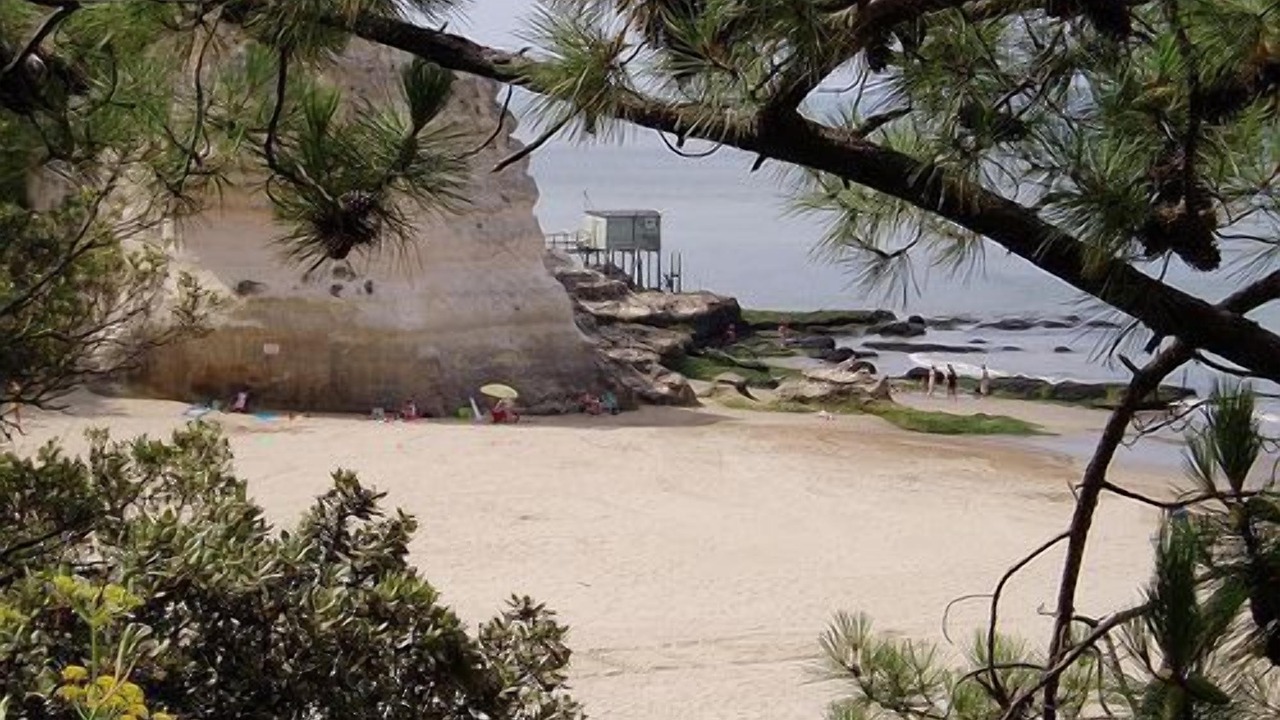 Photo of Outdoor in Meschers-sur-Gironde