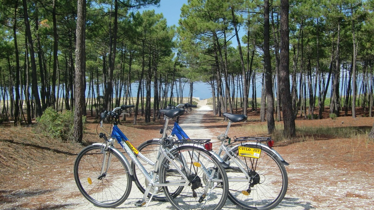 Photo of Others in Meschers-sur-Gironde