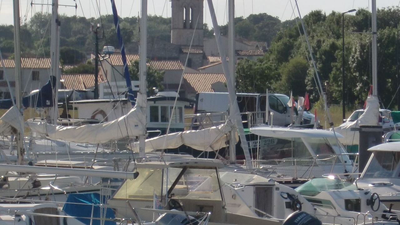 Photo of Others in Meschers-sur-Gironde