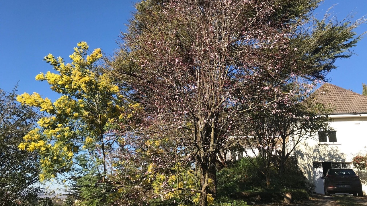 Photo of Outdoor in Plassac