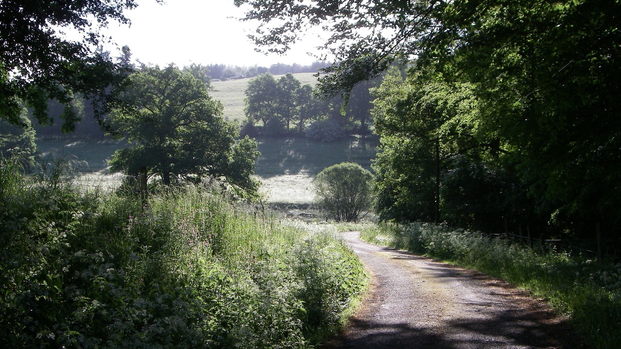 Photo of Outdoor in Bugeat