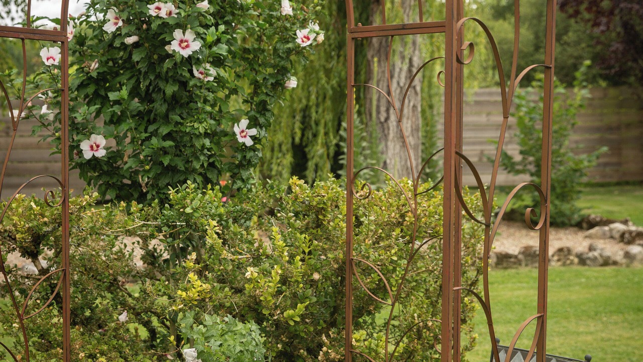 Photo of Outdoor in Salignac