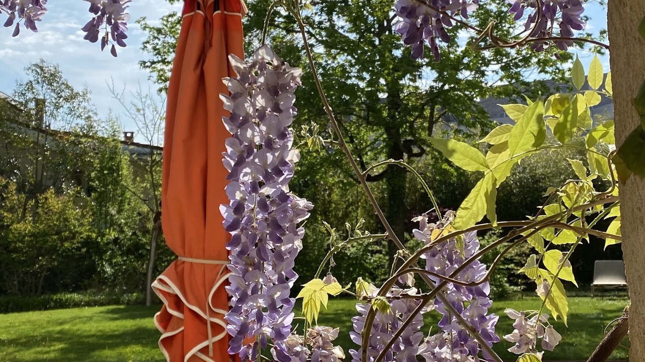 Photo of Outdoor in Bastide-Brazza