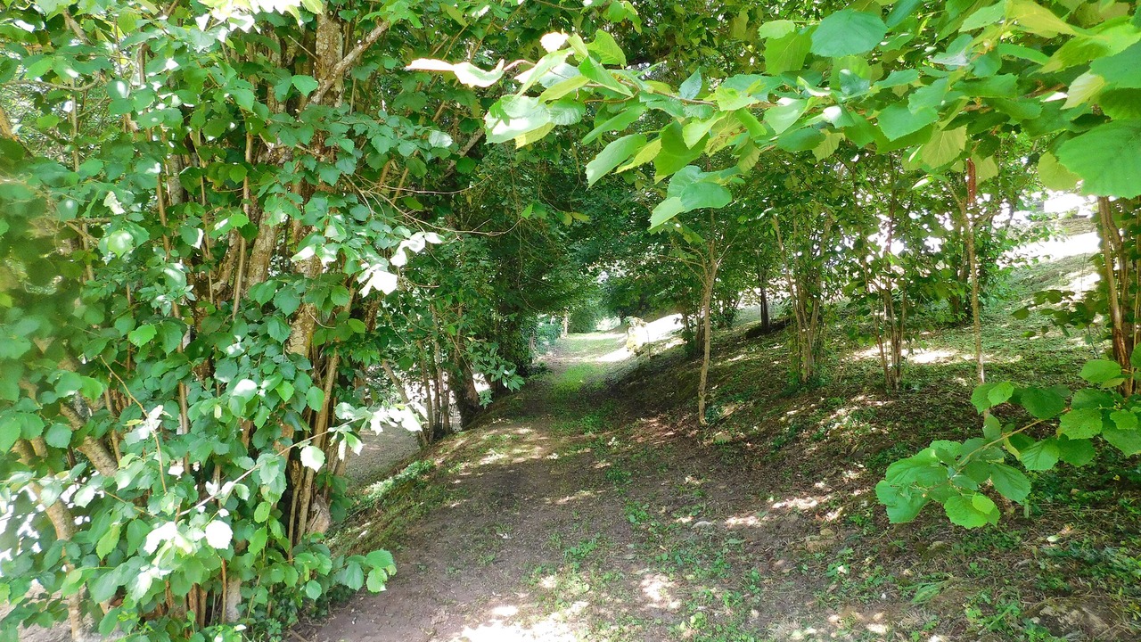 Photo of Outdoor in Cleyrac