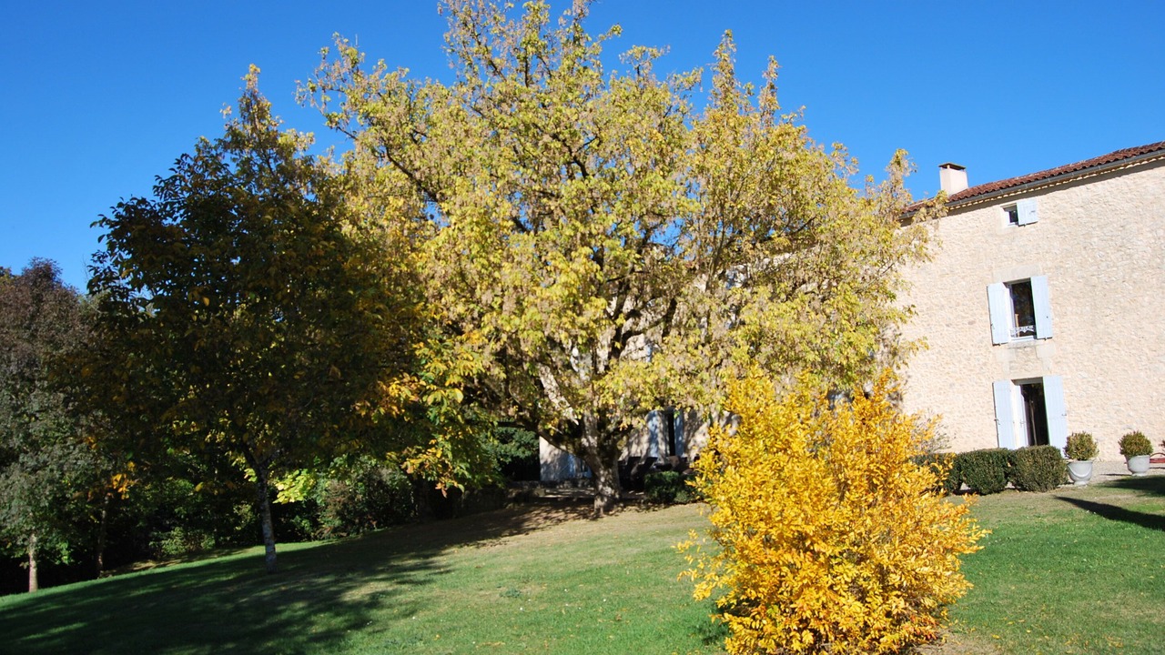 Photo of Outdoor in Cleyrac