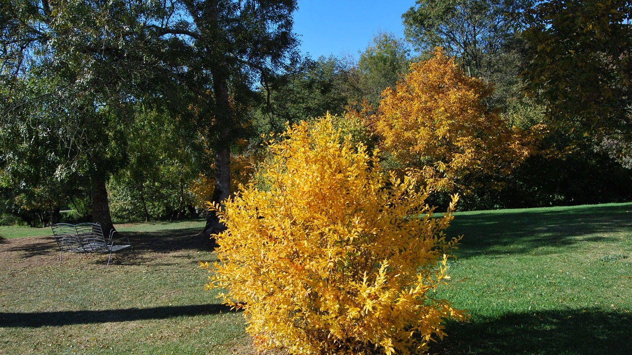 Photo of Outdoor in Cleyrac