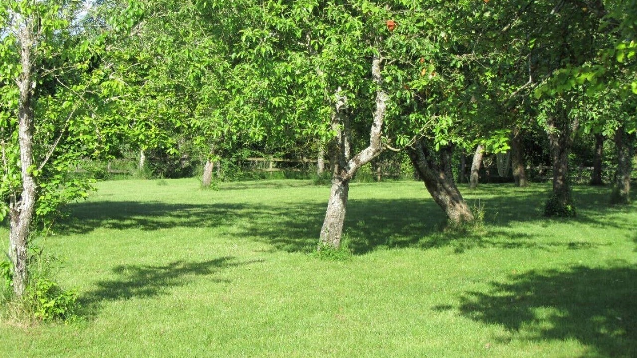 Photo of Outdoor in Saires