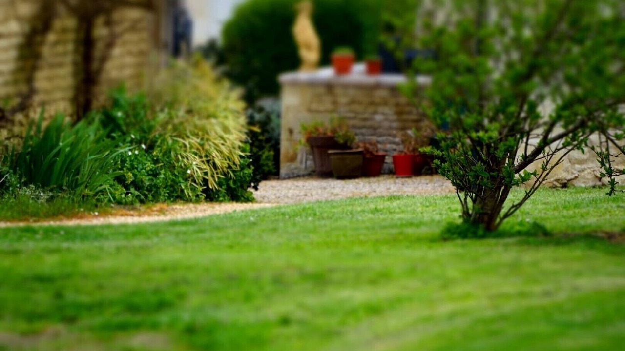 Photo of Outdoor in Saires