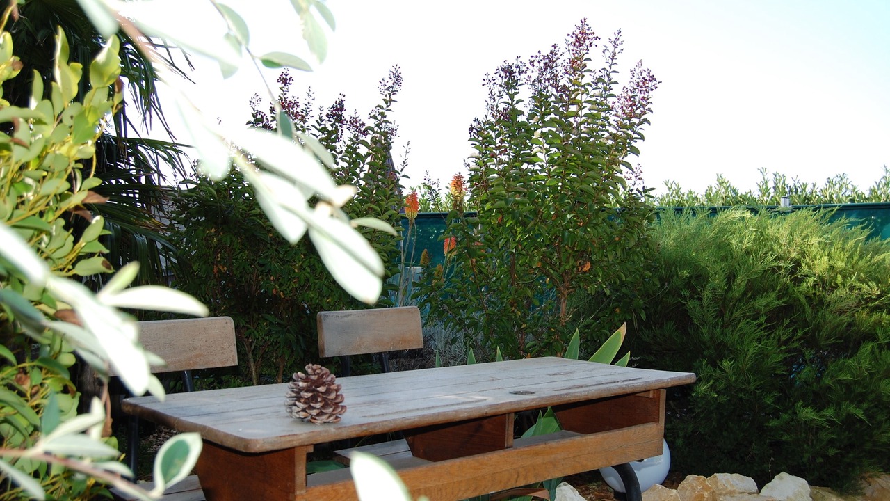 Photo of Outdoor in Gemozac