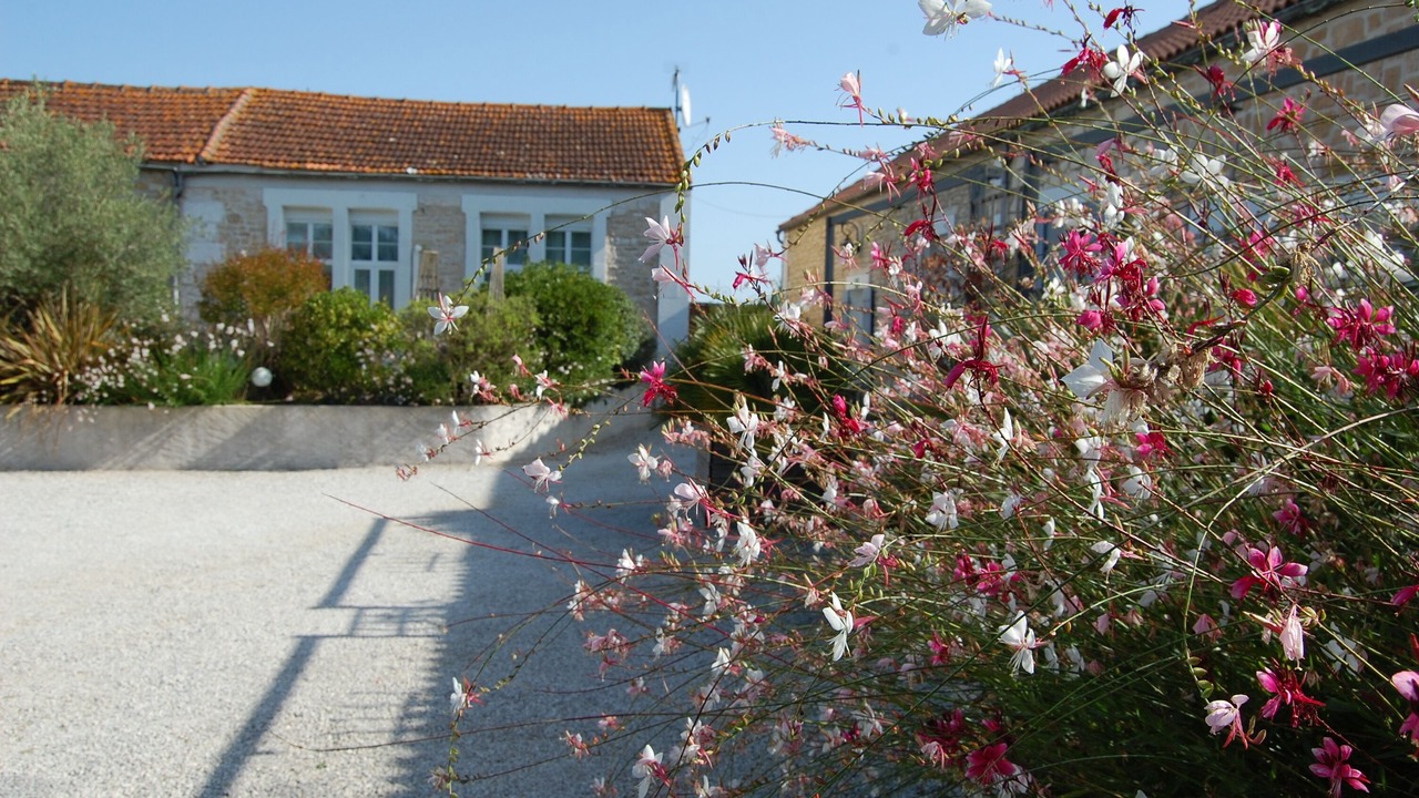 Photo of Outdoor in Gemozac