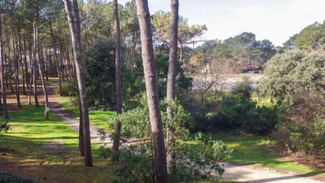 Photo of Outdoor in Lacanau-Ocean