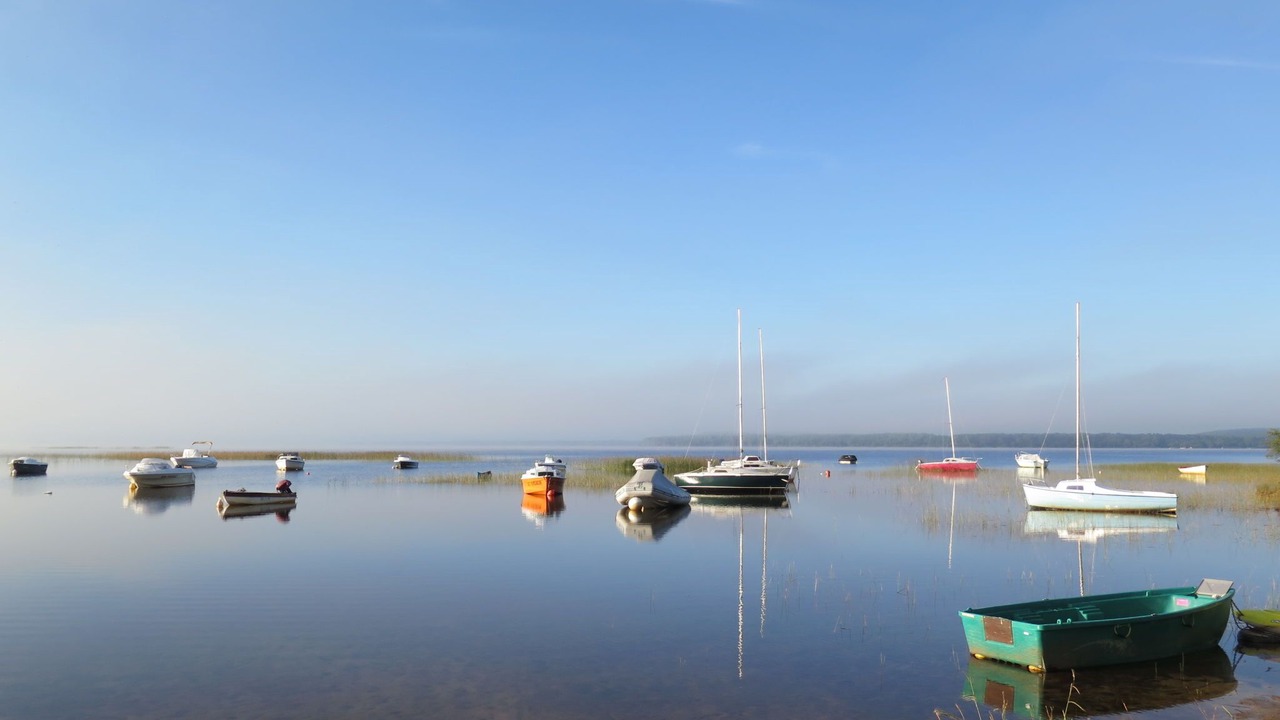Photo of Others in Lacanau-Ocean
