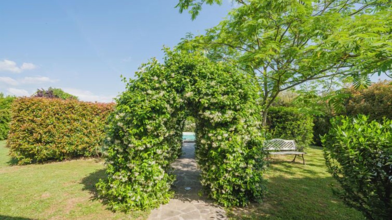 Photo of Outdoor in Castelfranco di Sotto