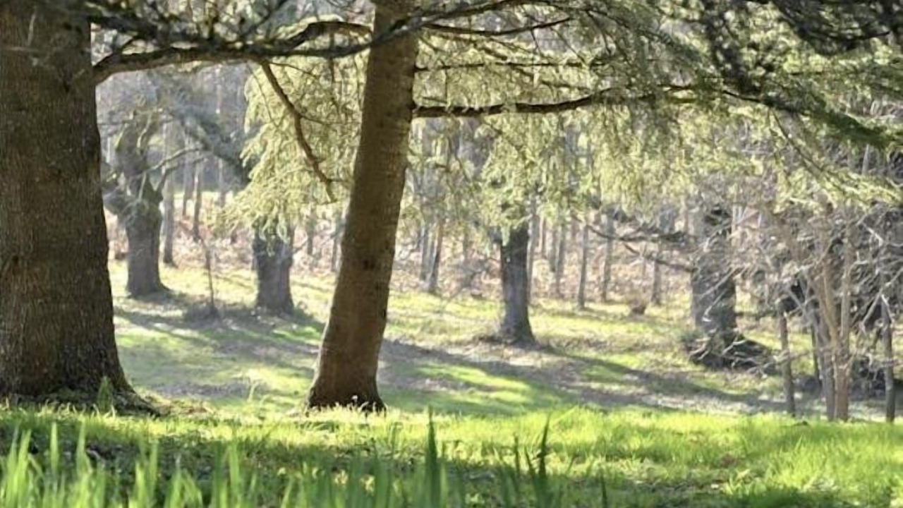 Photo of Outdoor in Saint-Front-de-Pradoux