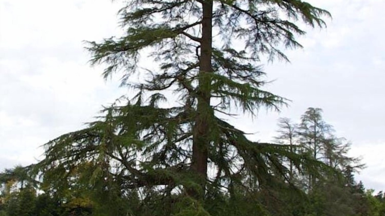 Photo of Outdoor in Saint-Front-de-Pradoux
