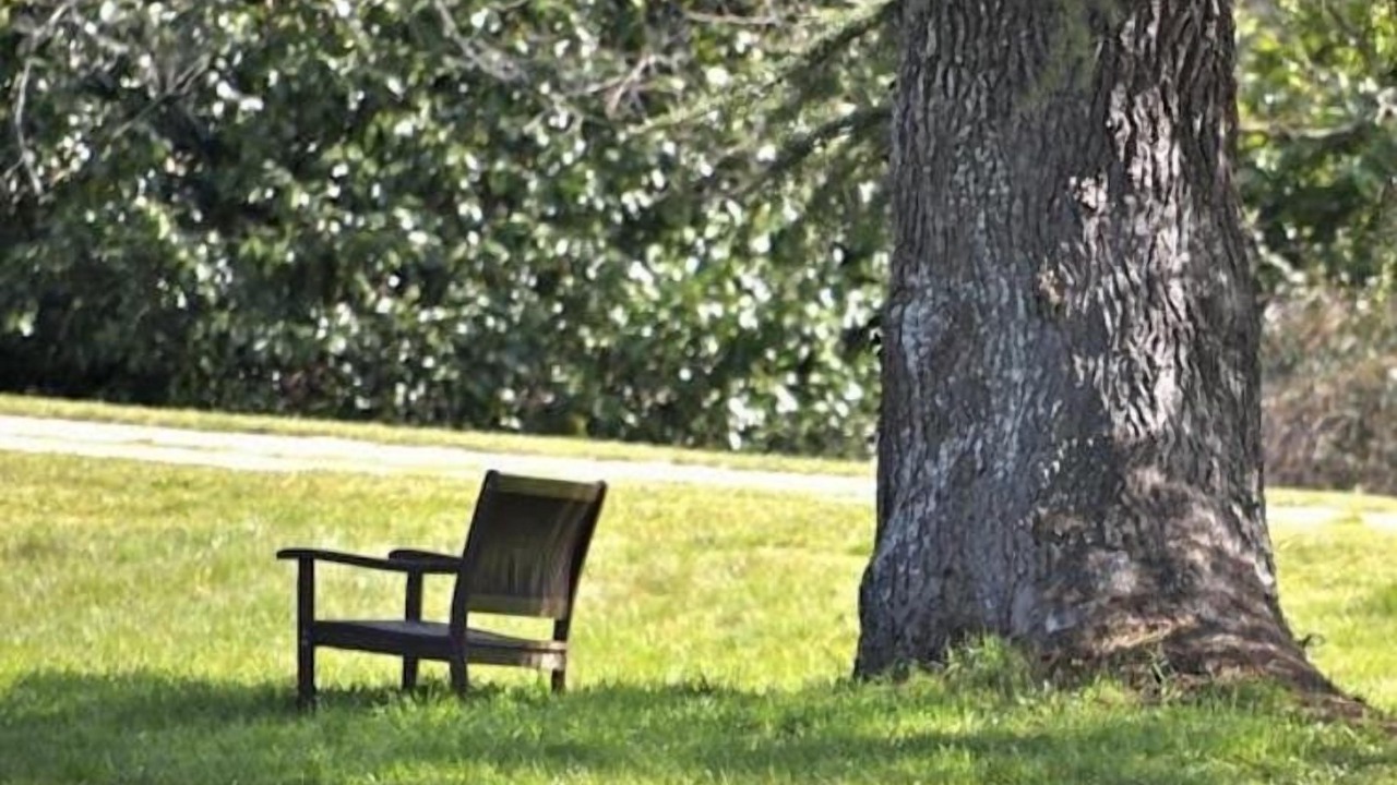 Photo of Outdoor in Saint-Front-de-Pradoux