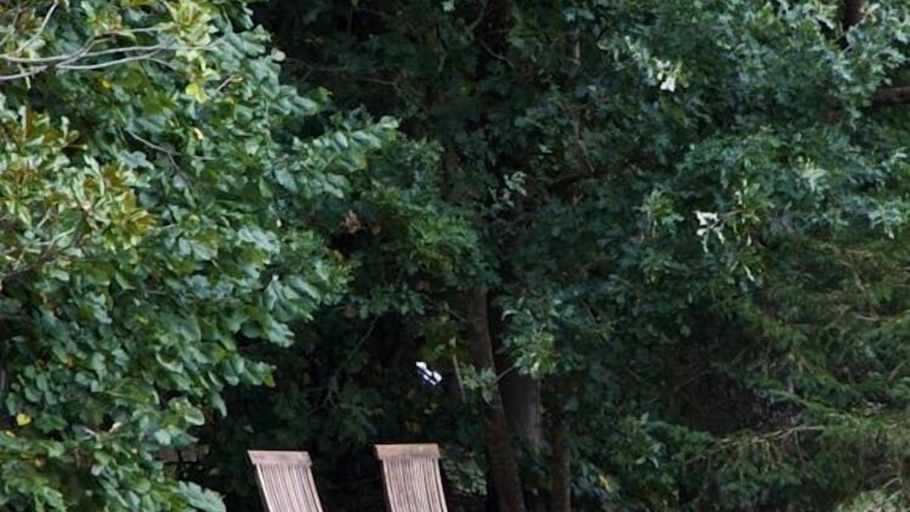 Photo of Outdoor in Saint-Front-de-Pradoux
