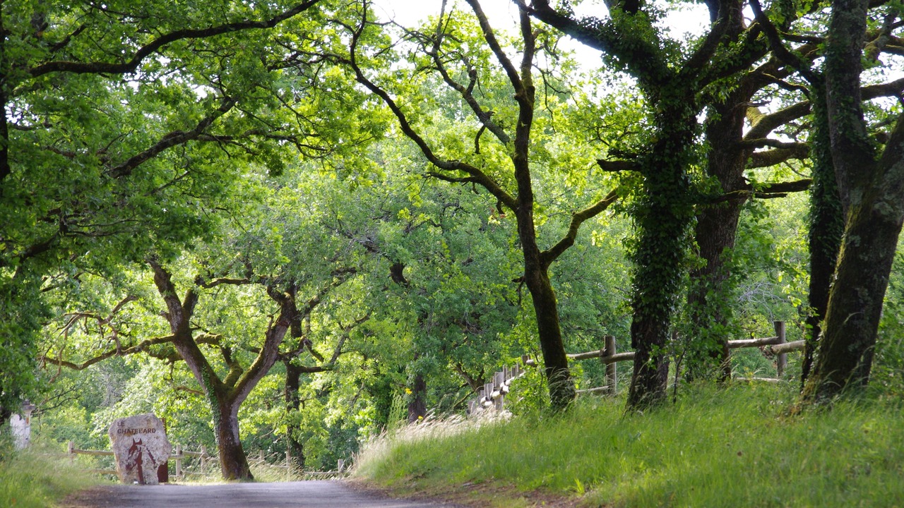 Photo of Outdoor in Dirac