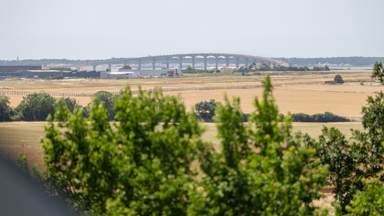 Photo of Others in Lagord