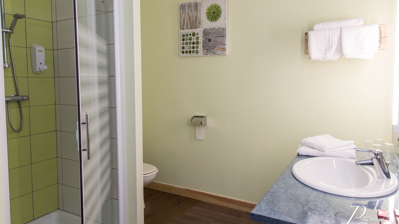 Photo of Bathroom in Saint-Junien