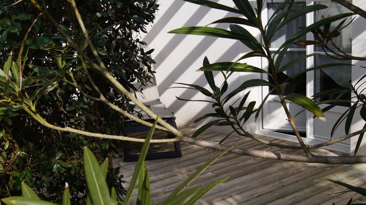 Photo of Outdoor in Le Bois-Plage-en-Re