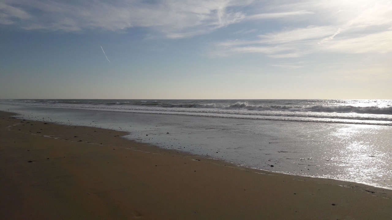 Photo of Others in Le Bois-Plage-en-Re
