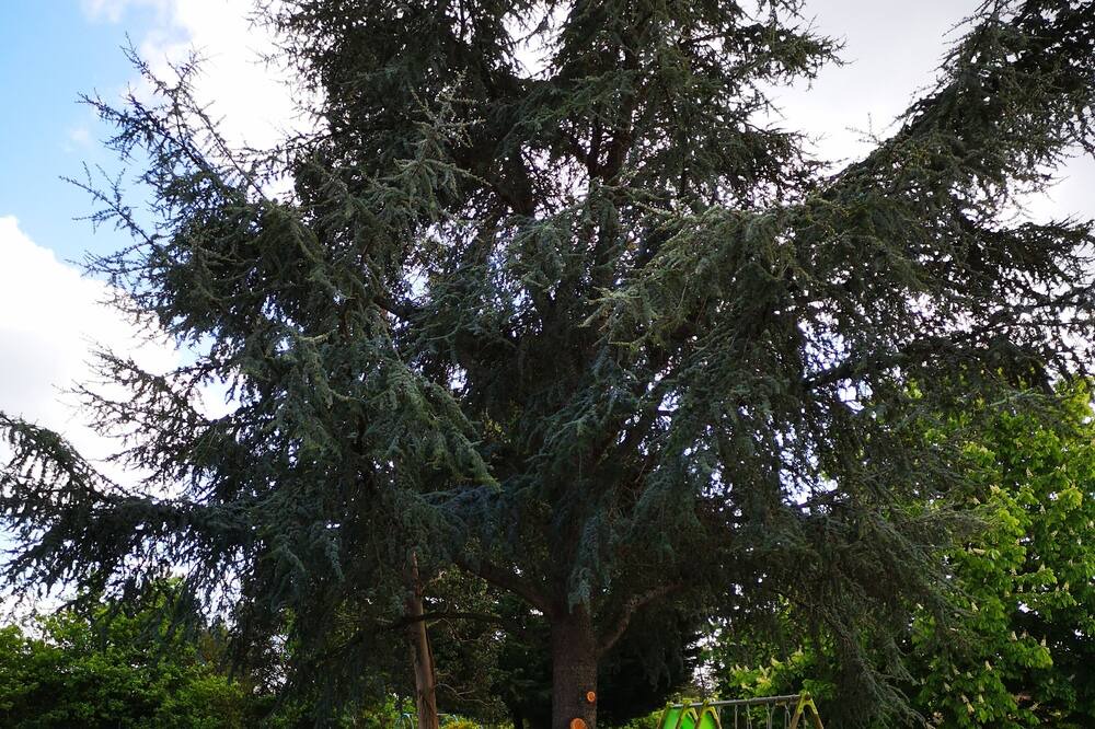 Photo of Outdoor in Bressuire