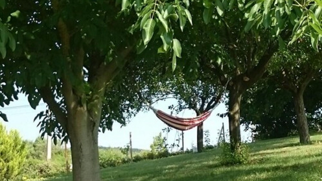 Photo of Outdoor in Cambes