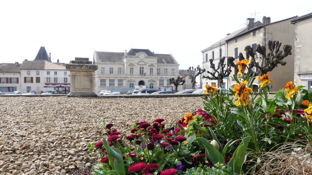 Photo of Others in La Mothe-Saint-Heray