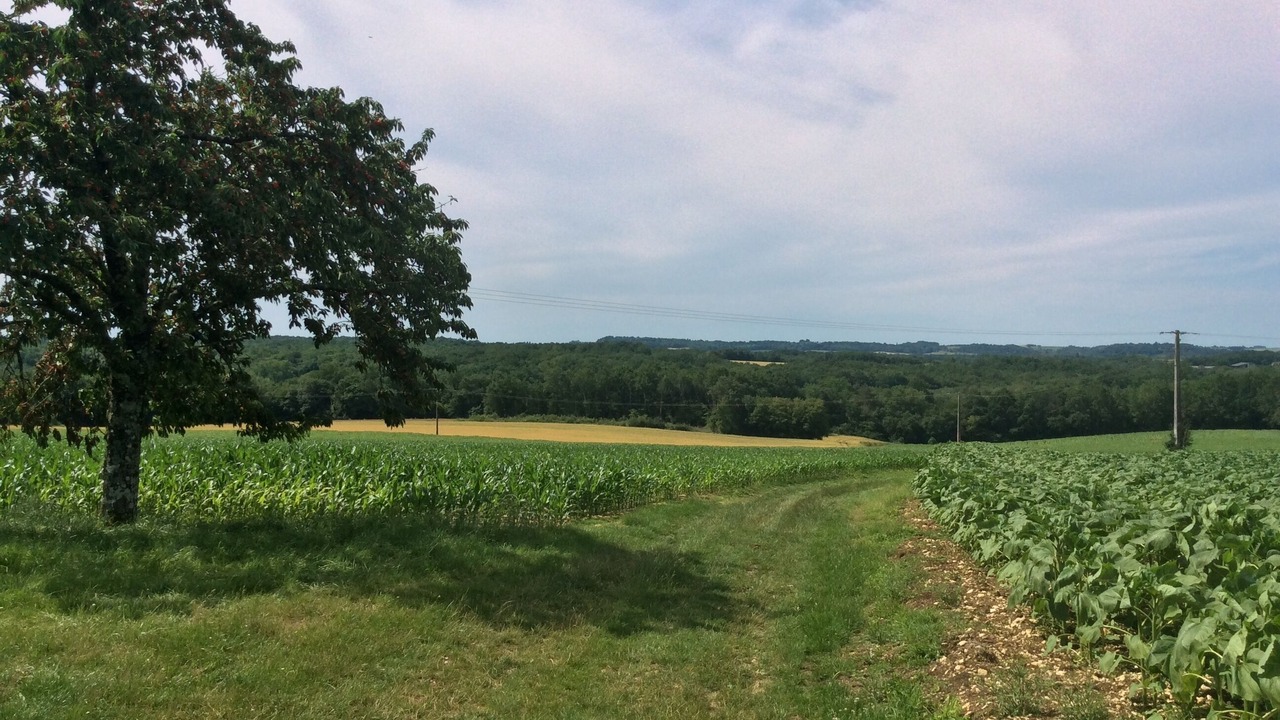 Photo of Outdoor in Edon