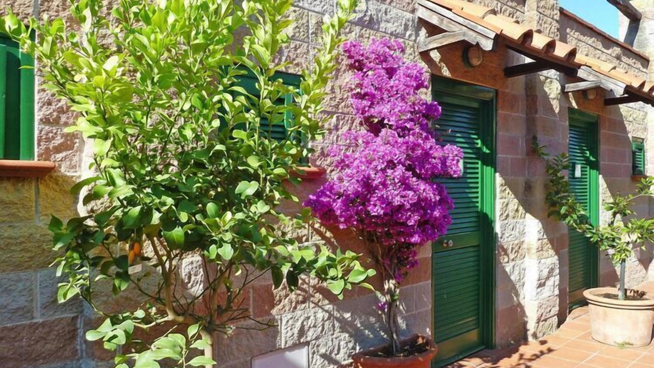 Photo of Outdoor in Bagnaia