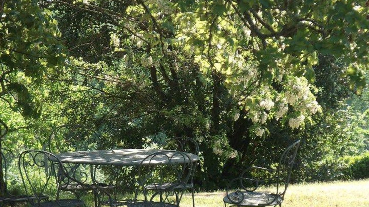 Photo of Outdoor in Haux
