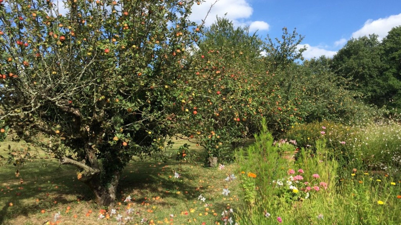 Photo of Outdoor in Haux