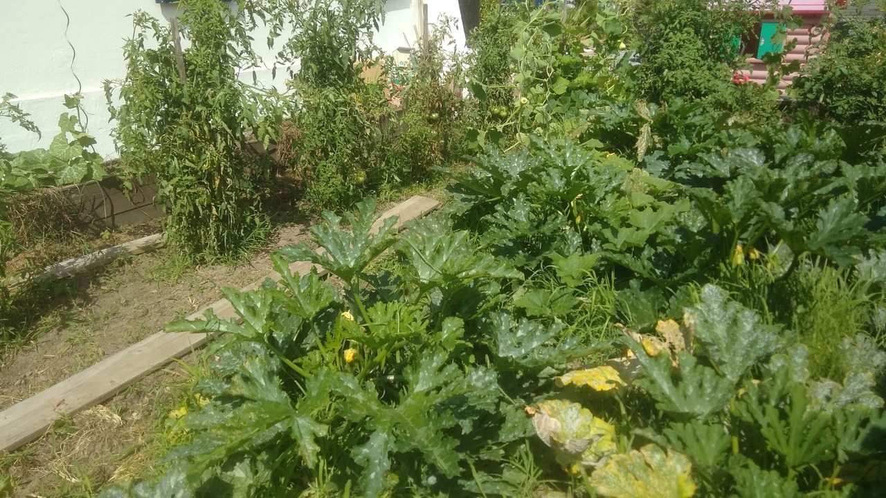 Photo of Outdoor in Mouguerre